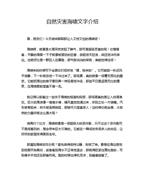 自然灾害海啸文字介绍