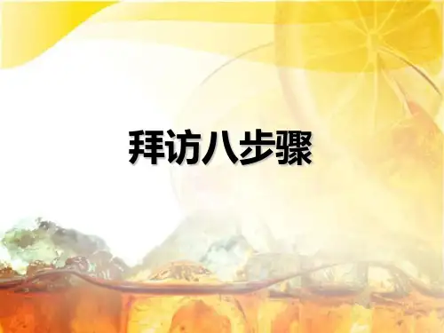 快消品行业终端拜访八步骤