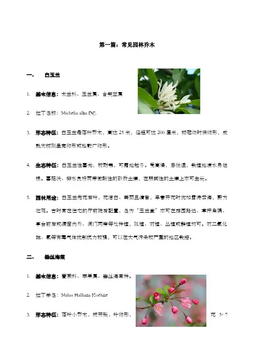 园林植物学常见乔木灌木地被植物
