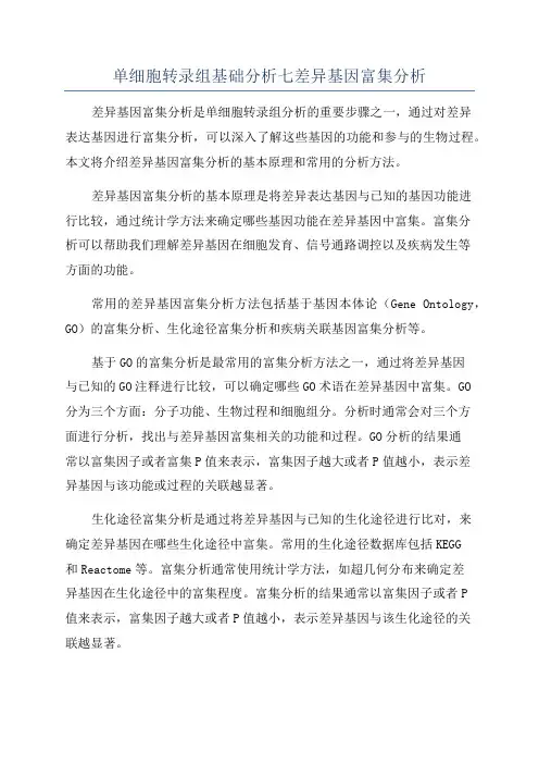 单细胞转录组基础分析七差异基因富集分析