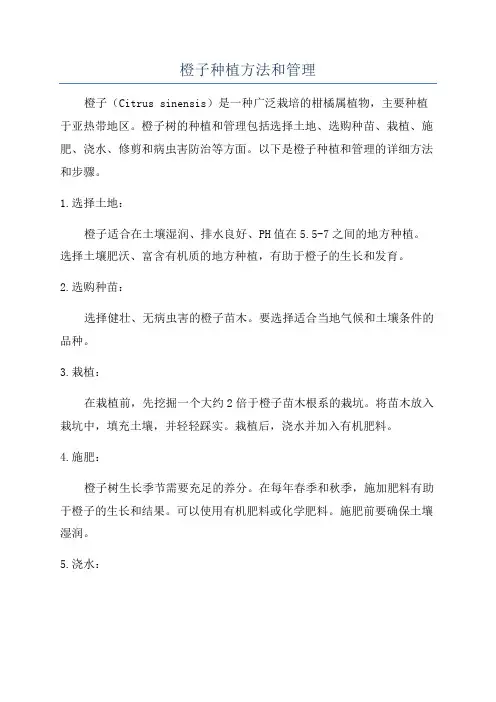 橙子种植方法和管理