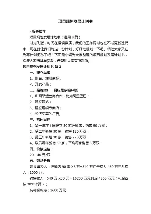 项目规划发展计划书