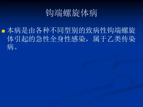 钩端螺旋体病