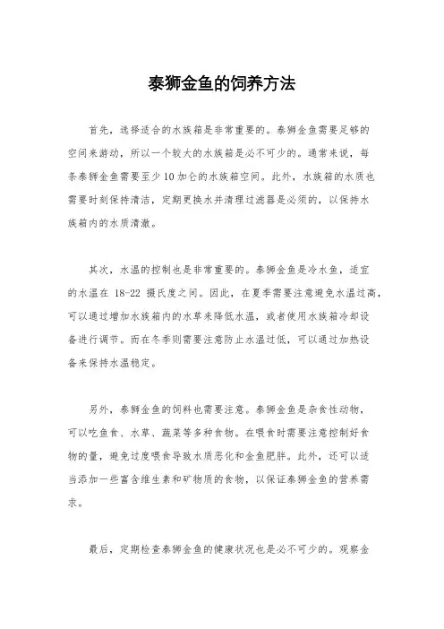 泰狮金鱼的饲养方法