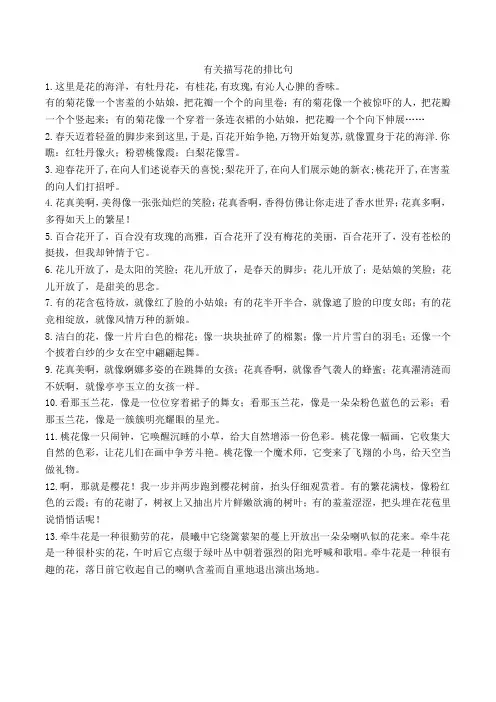 这里是花的海洋仿写排比句