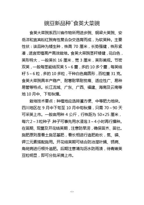 豌豆新品种―食荚大菜豌