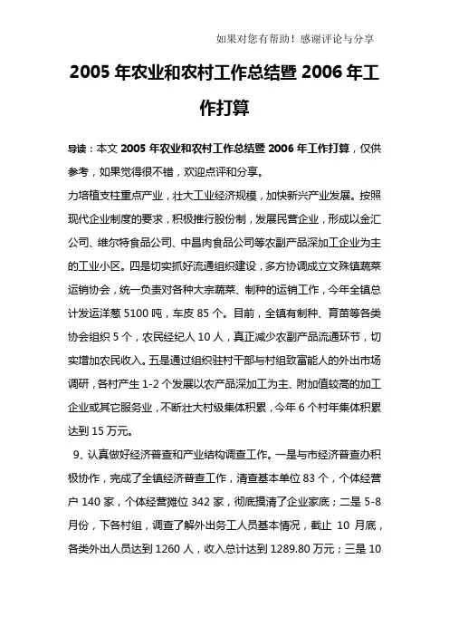 2005年农业和农村工作总结暨2006年工作打算_4