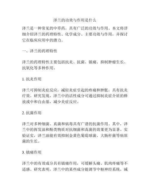 泽兰的功效与作用是什么