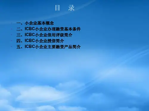 中国某银行小企业融资产品体系简介