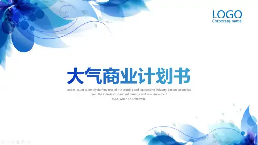 ktv商业计划书ppt