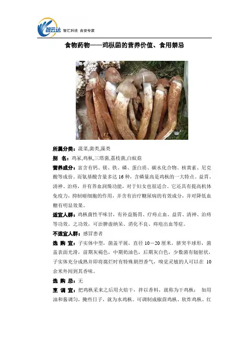 食物药物——鸡枞菌的营养价值、食用禁忌