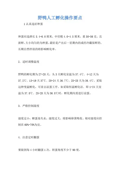 野鸭人工孵化操作要点