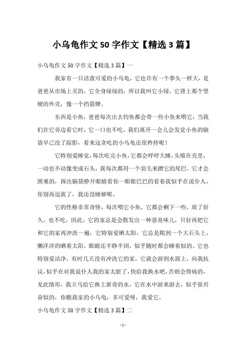 小乌龟作文50字作文【3篇】