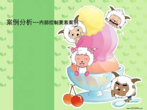 案例分析-内部控制