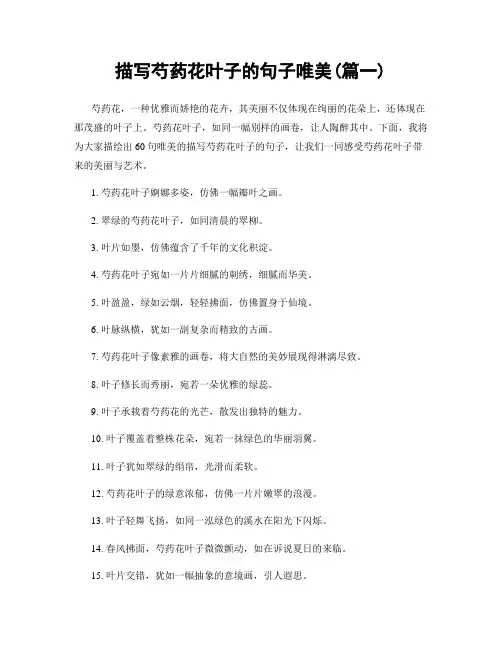 描写芍药花叶子的句子唯美(精选合集2篇)