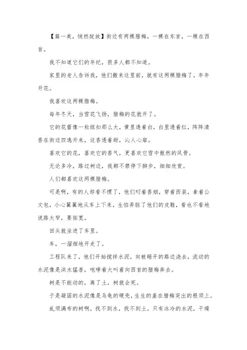 优秀中考满分作文推荐【三篇】