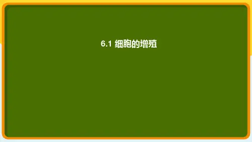 细胞的增殖ppt课件