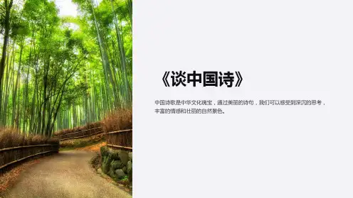 《谈中国诗》ppt课件
