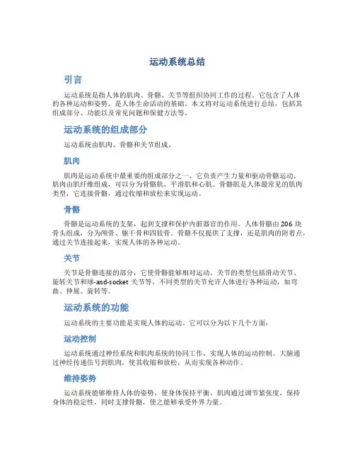 运动系统总结