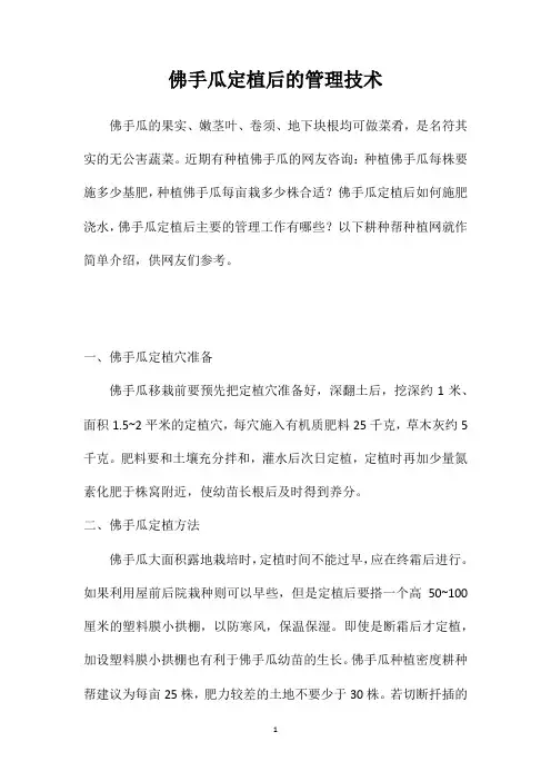 佛手瓜定植后的管理技术