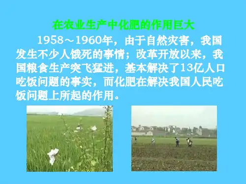 人教版初中化学九下11.2 化学肥料 课件_10PPT