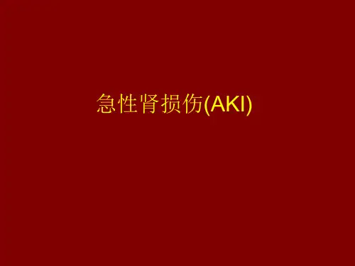 急性肾损伤(AKI)的诊断标准