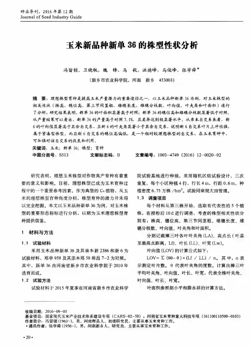 玉米新品种新单36的株型性状分析