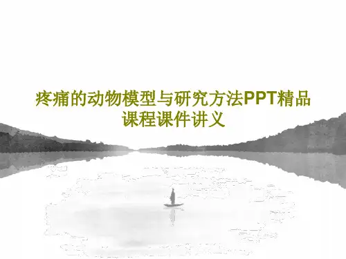 疼痛的动物模型与研究方法PPT精品课程课件讲义共91页文档