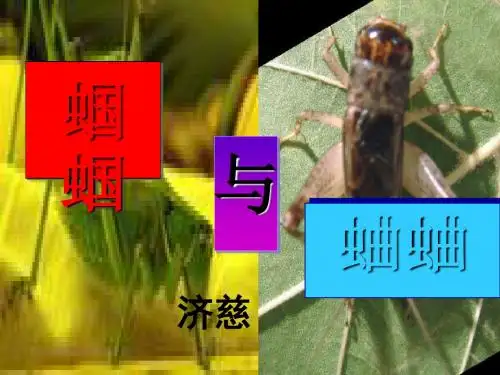 蝈蝈与蛐蛐PPT 人教版 (共21张PPT)
