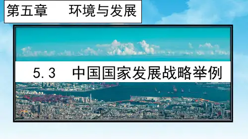 中国国家发展战略举例 课件 2021-2022学年高一地理人教版(2019)必修第二册