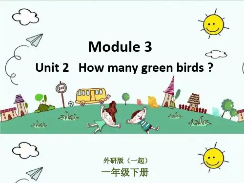 一年级英语下M3U2 How many green birds？课件  外研版一起