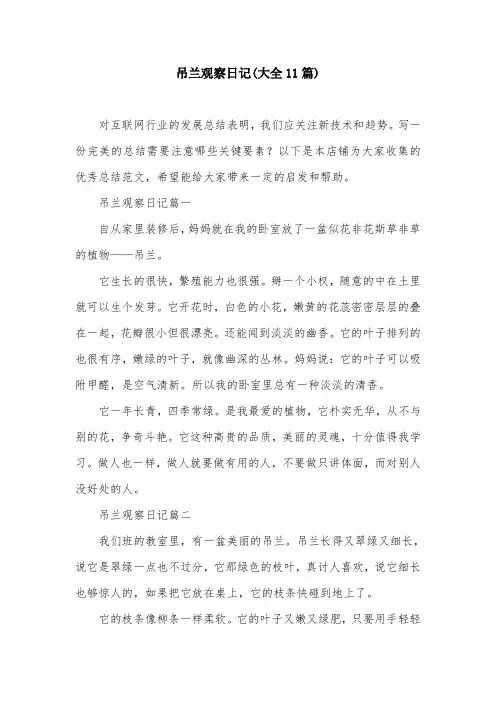吊兰观察日记(大全11篇)