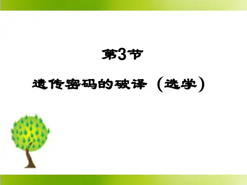 遗传密码的破译