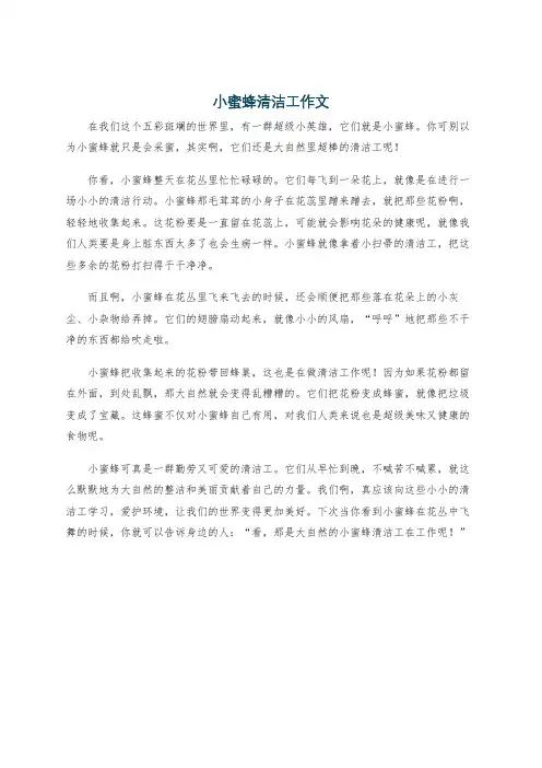 小蜜蜂清洁工作文