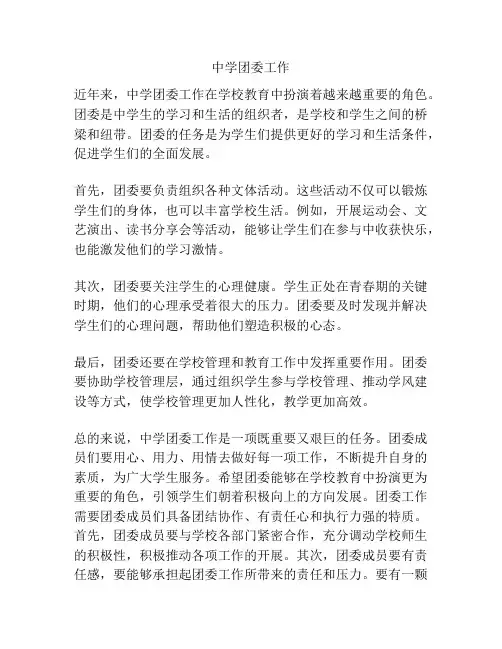 中学团委工作