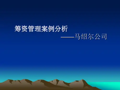 筹资管理案例分析