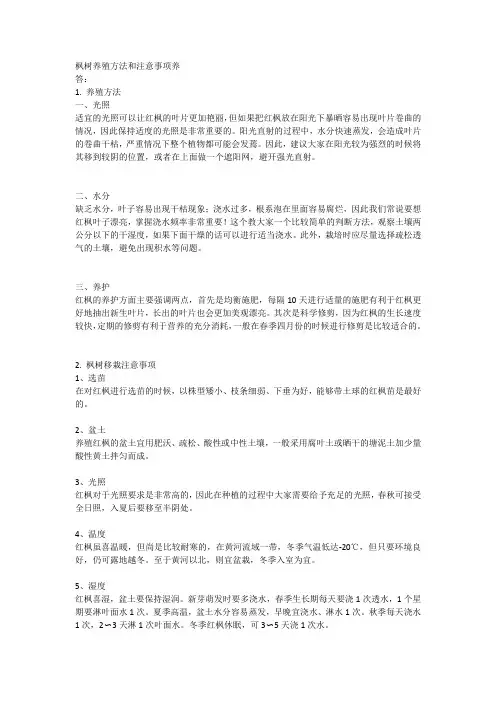 枫树养殖方法和注意事项养