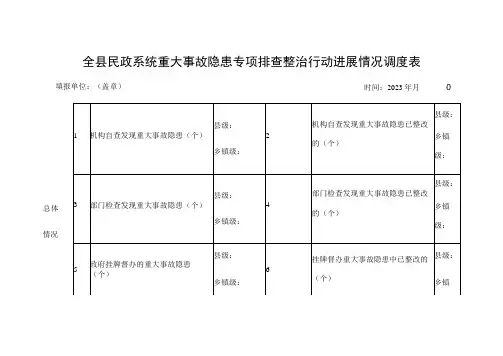 全县民政系统重大事故隐患专项排查整治行动进展情况调度表