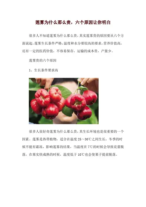 莲雾为什么那么贵,六个原因让你明白