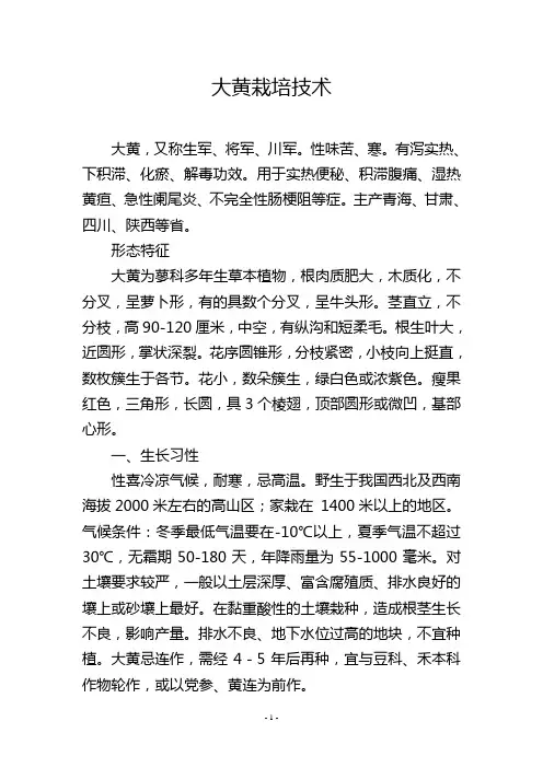 大黄栽培技术