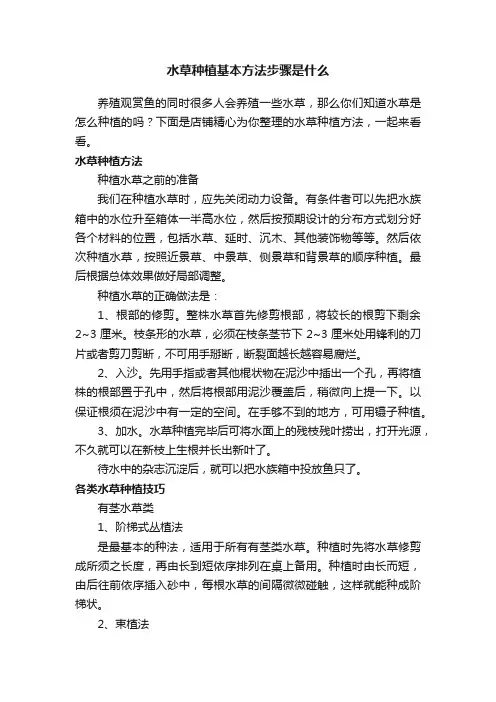 水草种植基本方法步骤是什么