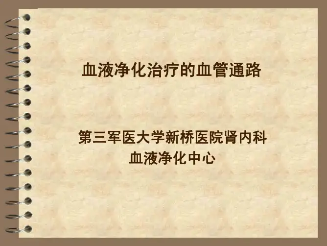 血液净化治疗的血管通路