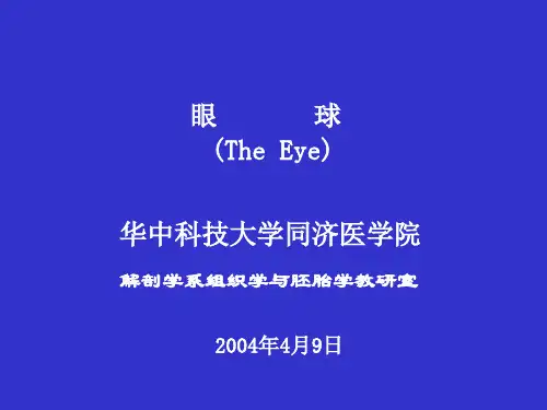 第9章眼和耳