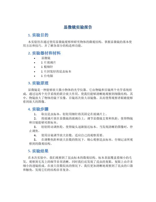 显微镜实验报告
