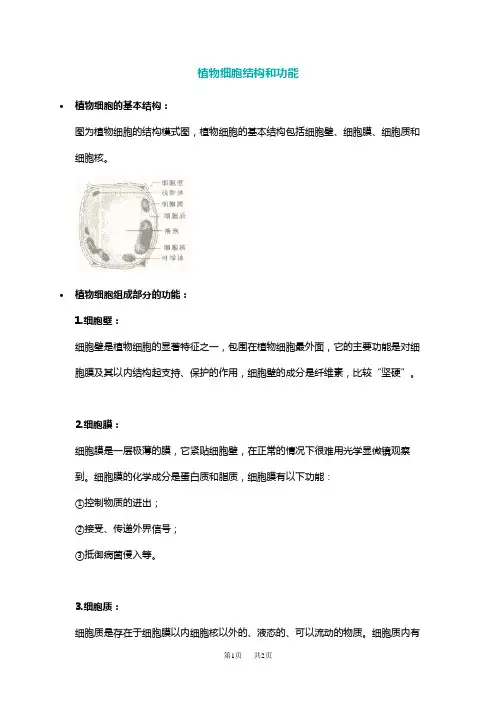 初中生物植物细胞结构和功能示意图