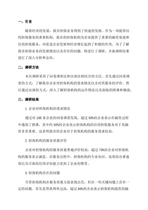 2024年我市担保调研报告