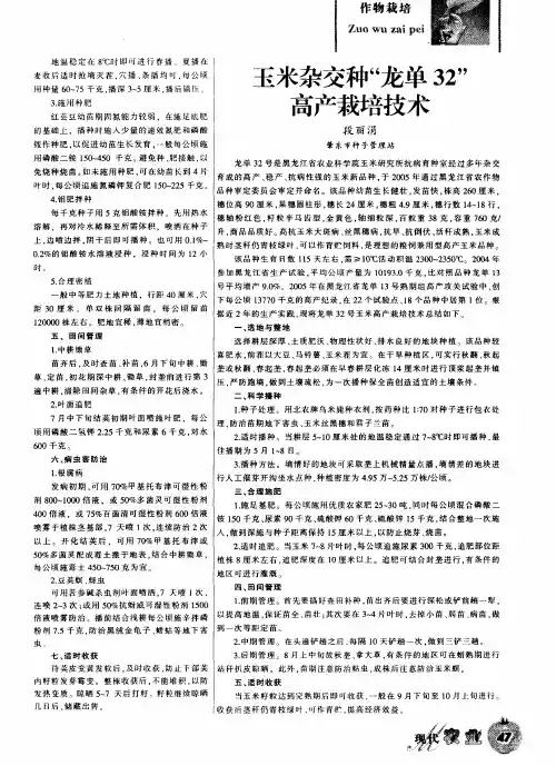 玉米杂交种“龙单32”高产栽培技术