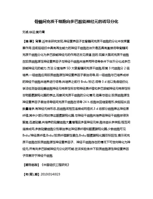 骨髓间充质干细胞向多巴胺能神经元的诱导分化