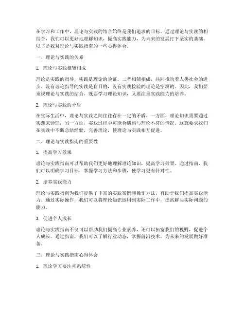 理论实践指南心得体会