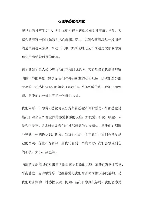 心理学感觉与知觉